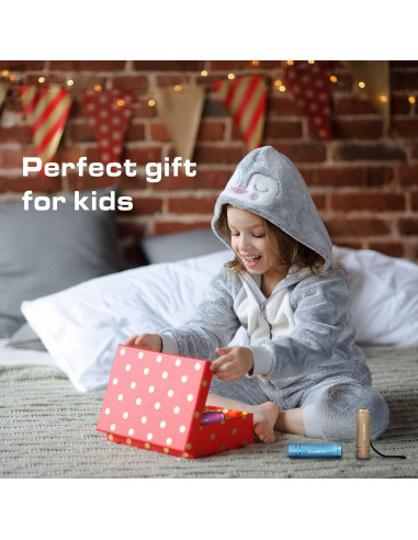 Conjunto de 6 Linternas LED Mini EverBrite de Aluminio