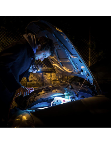 Conjunto de 6 Linternas LED Mini EverBrite de Aluminio