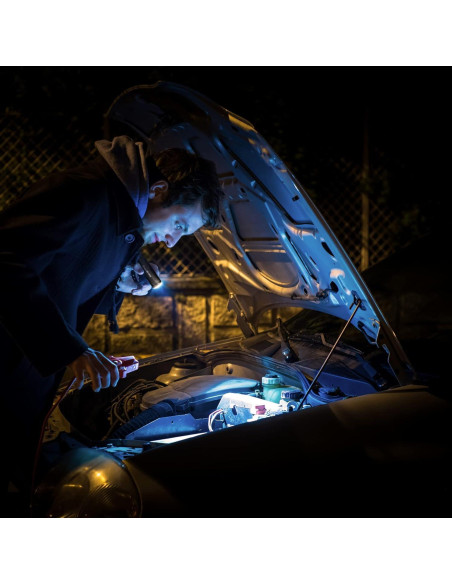 Conjunto de 6 Linternas LED Mini EverBrite de Aluminio