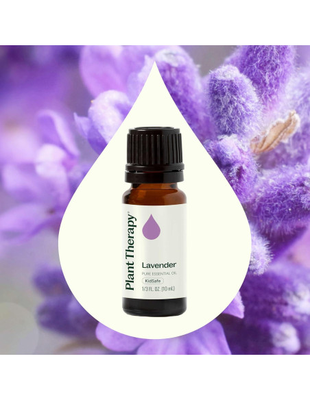 Aceite Esencial de Lavanda Plant Therapy 100% Puro 10 mL