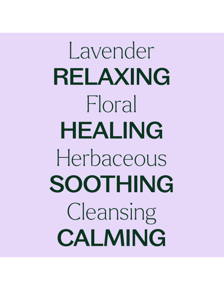 Aceite Esencial de Lavanda Plant Therapy 100% Puro 10 mL