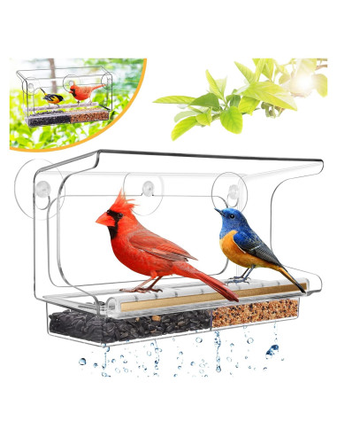 Comedero para Aves LUJII de Ventana Transparente 4 Tazas