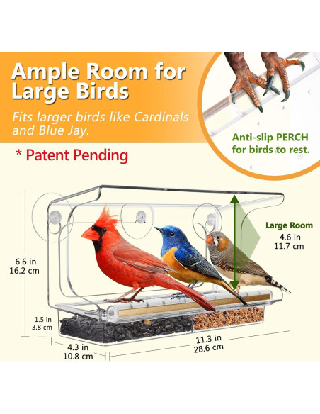 Comedero para Aves LUJII de Ventana Transparente 4 Tazas