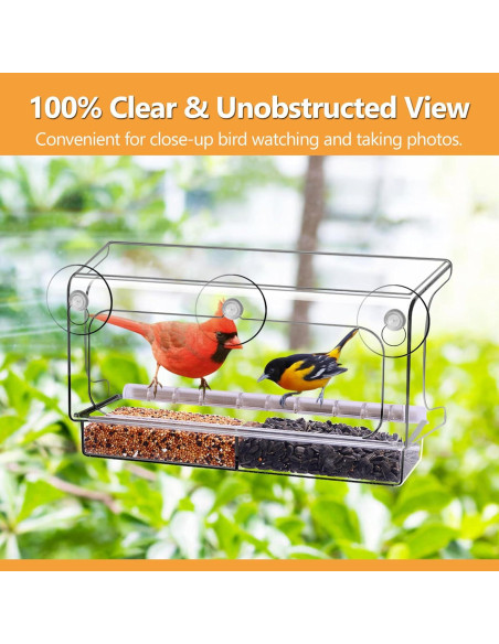 Comedero para Aves LUJII de Ventana Transparente 4 Tazas