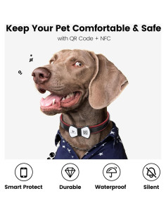 Etiqueta Antipérdida para Mascotas PawView con Código QR Negro 2