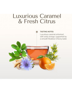 Té de Yerba Mate Orgánico Palermo 20 Bolsitas Naranja Caramelo 2