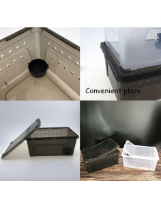 Caja de Alimentación para Reptiles Kathson 26x18cm 2PCS Negra 2