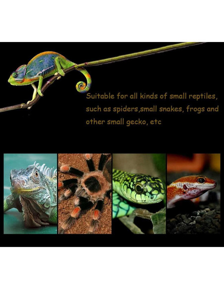 Caja de Alimentación para Reptiles Kathson 26x18cm 2PCS Negra