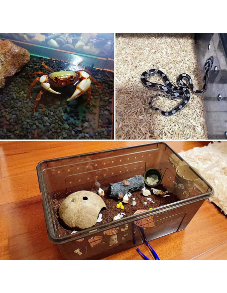 Caja de Alimentación para Reptiles Kathson 26x18cm 2PCS Negra