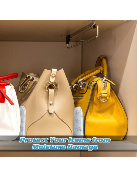 Paquetes de Gel de Silica SurpOxyLoc 2g (250 Paquetes) Grado Alimenticio