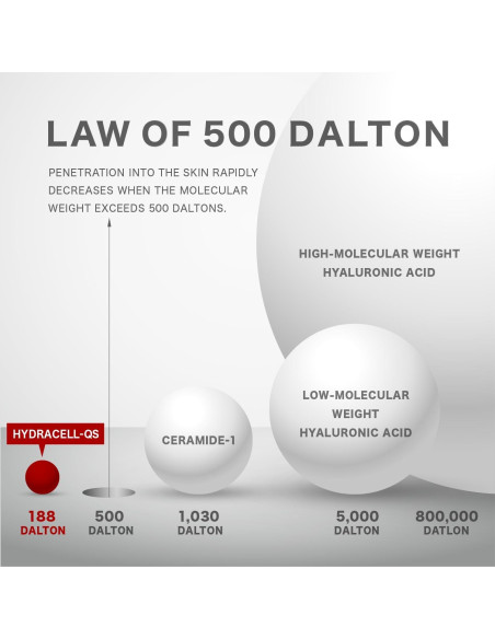 Tónico Hidratante RAWQUEST Equinácea 41% 308g Piel Seca