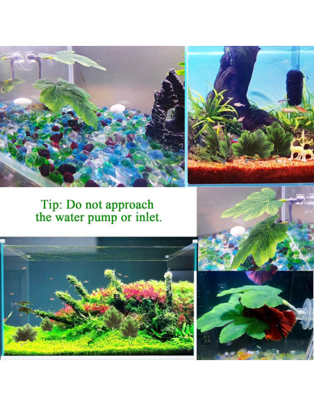 Hoja de Pescado Betta AncBace Verde 3pcs Accesorios Acuario