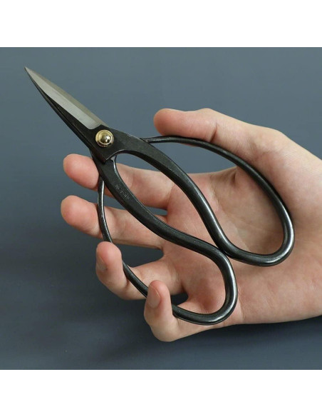 Juego de Tijeras de Poda de Bonsái Wazakura - Hecho en Japón