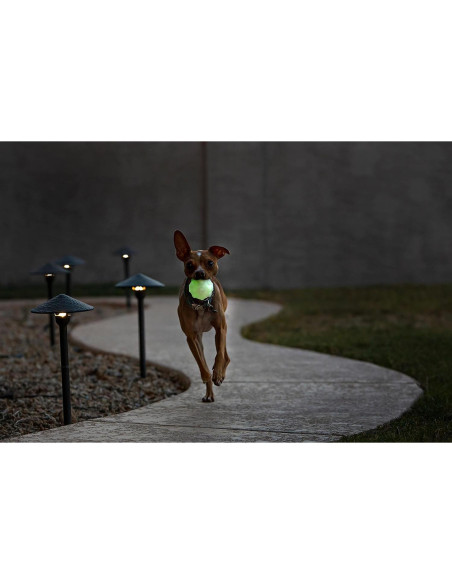 Pelota de Juguete para Perros Jolly Pets JJ03 Naranja 7.62 cm