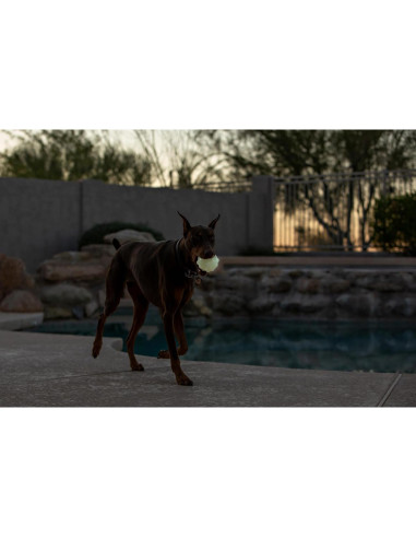 Pelota de Juguete para Perros Jolly Pets JJ03 Naranja 7.62 cm