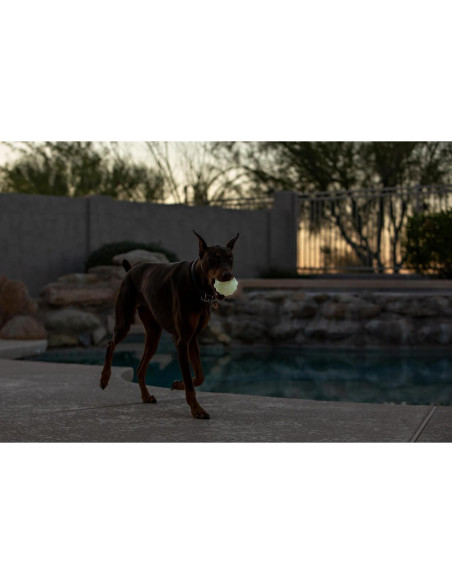 Pelota de Juguete para Perros Jolly Pets JJ03 Naranja 7.62 cm