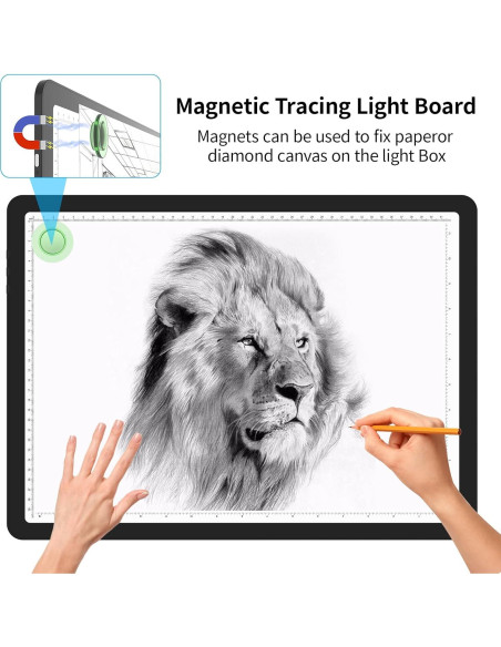 Almohadilla de Luz A3 Phylosal con 3 Modos y 6 Brillos