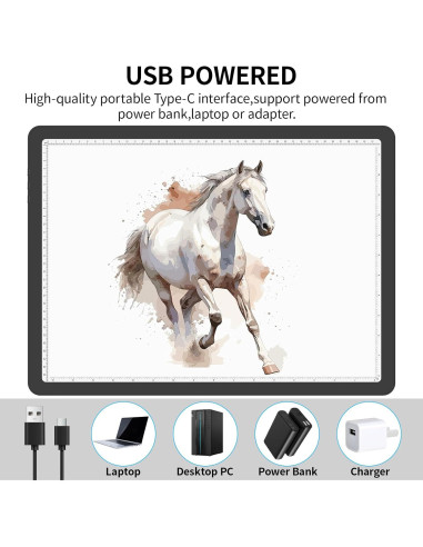 Almohadilla de Luz A3 Phylosal con 3 Modos y 6 Brillos