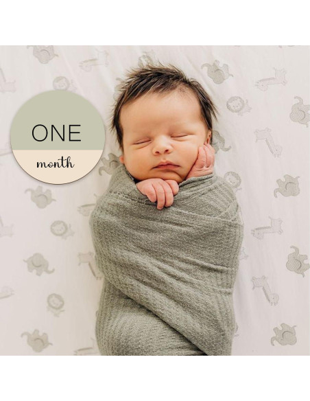 Círculos de Hitos Mensuales para Bebés Cephira - 6 Señales de Madera