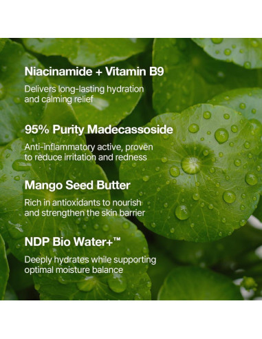 Crema Primer Facial NDP Vitamina B9 65ml - Hidratante y Tonificante