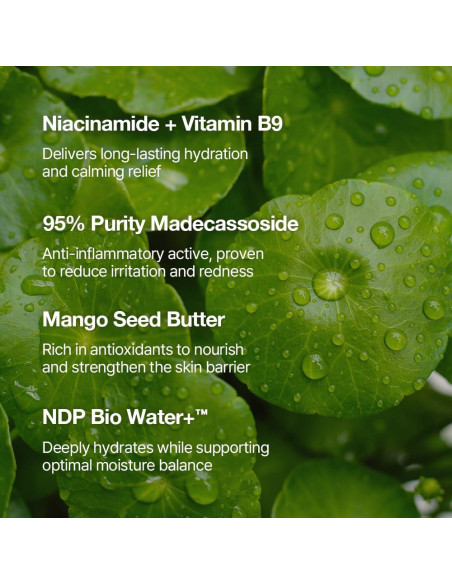 Crema Primer Facial NDP Vitamina B9 65ml - Hidratante y Tonificante