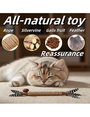 Juguetes para Gatos GREMBEB 3PCS Hierba Gatera Interactiva