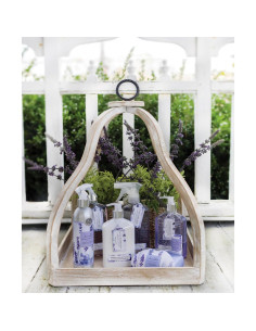 Jabón Líquido Concentrado Natural Mangiacotti 408 ml Lavanda 2