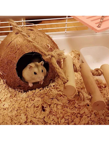 Escondite de Coco Natural BLSMU con Escalera para Hámster y Aves
