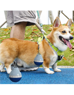 Botella de Agua para Perros Zazoot 200ml Plegable a Prueba de Fugas 2