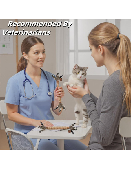 Juguetes para Gatos GREMBEB 3 en 1 con Plumas y Catnip