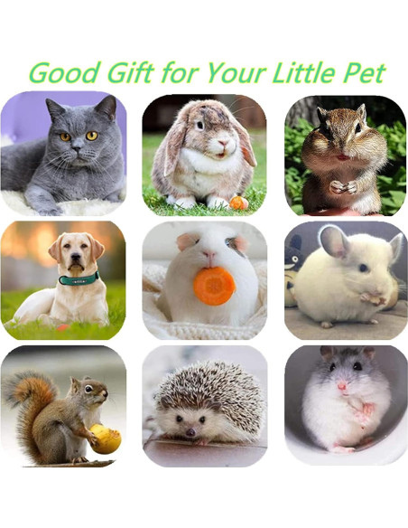 Juguetes para Gatos GREMBEB 3 en 1 con Plumas y Catnip