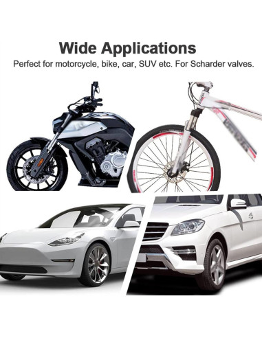 Manómetro de Presión de Neumáticos PUIBERS 60 PSI con Chuck 90