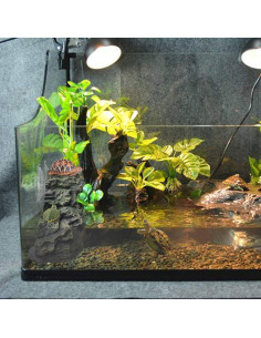 Plataforma de Sol para Tortugas PINVNBY 21x8.5x8 cm Resina 2