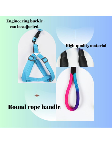 Juego de 2 Arnés y Correa Ajustable para Cerdo Mini TTMIMIK