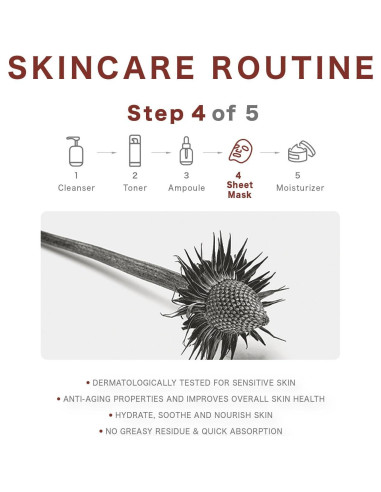 Mascarilla Facial RAWQUEST Echinacea 5 unidades Hidratante