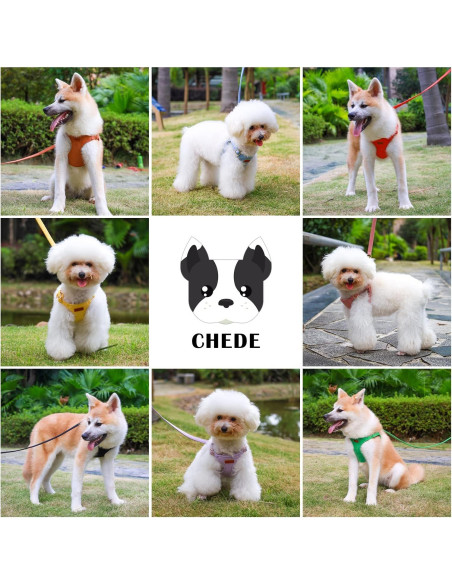 Arnés para Perros Chede XXS Rosa Antiguo Ajustable Sin Tirones