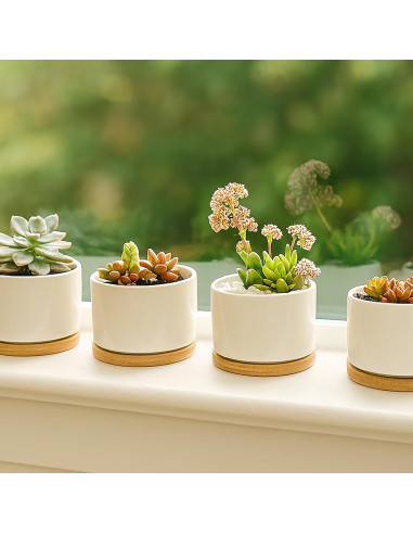 Macetas Cerámicas ZOUTOG para Suculentas 9.1 cm - Paquete de 6