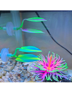 Hamaca de Silicona para Peces Betta DEMONTALK - 2 Piezas 2