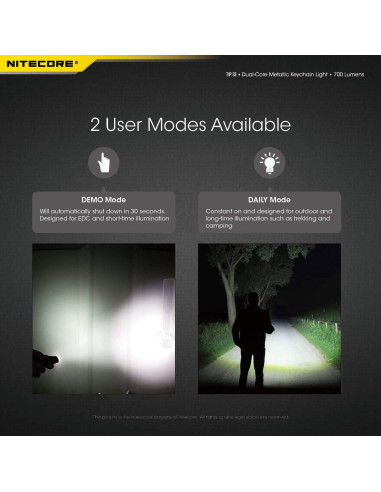 Linterna de Llavero Nitecore Tip SE Gris 700 Lúmenes Recargable