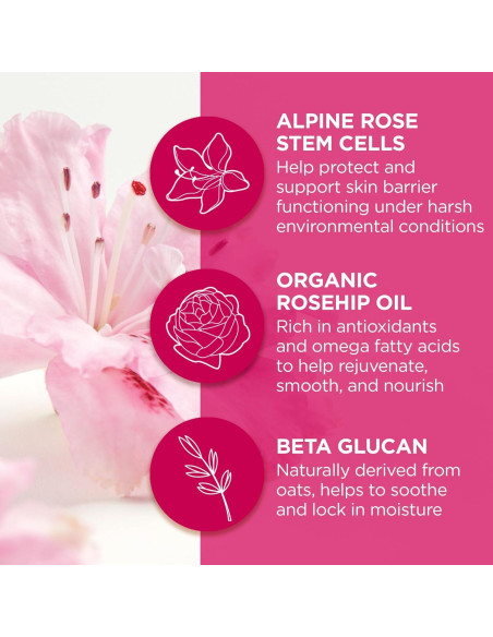 Máscara Labial Nocturna Andalou Naturals 1000 Rosas 11.83g