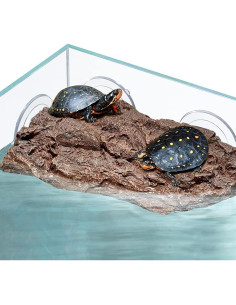 Plataforma Flotante para Tortugas Abustle Pig - Roca Natural 22x13x4 cm 2