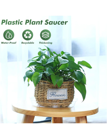 Paquete de 36 platos transparentes UltraOutlet para plantas Paquete de 36 platos transparentes UltraOutlet para plantas