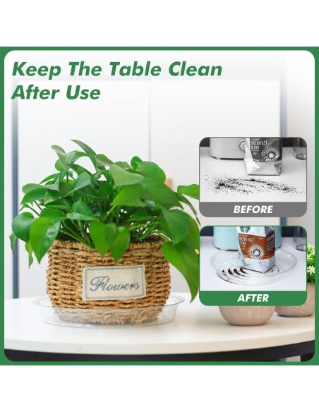 Paquete de 36 platos transparentes UltraOutlet para plantas Paquete de 36 platos transparentes UltraOutlet para plantas