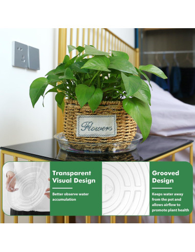 Paquete de 36 platos transparentes UltraOutlet para plantas