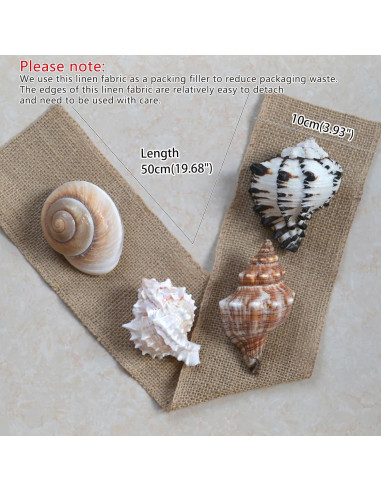4 Conchas de Cangrejo Ermitaño M-L con Lino Natural