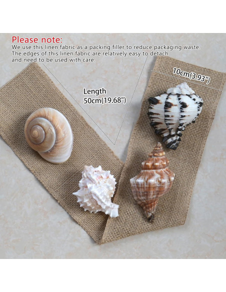 4 Conchas de Cangrejo Ermitaño M-L con Lino Natural