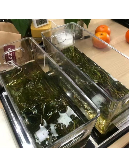 Almohadilla de Calentamiento para Reptiles APlayfulBee 7W