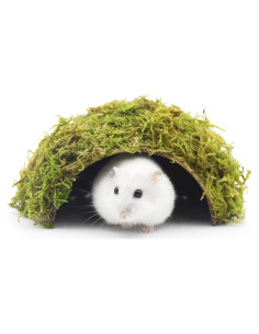 Escondite de Hámster SanmooAio Pequeño 12x14.5cm Ecológico