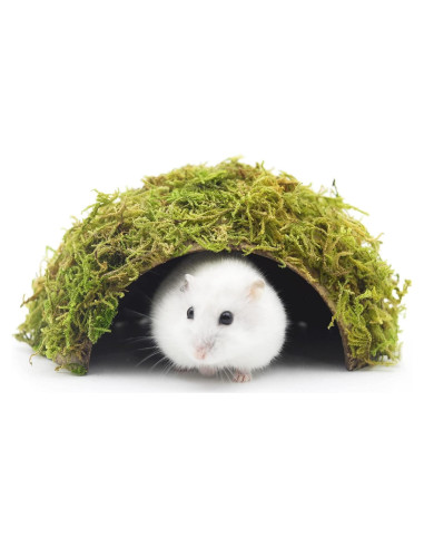 Escondite de Hámster SanmooAio Pequeño 12x14.5cm Ecológico