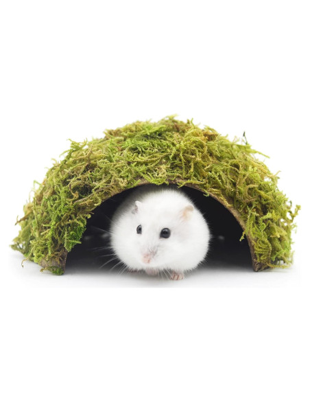 Escondite de Hámster SanmooAio Pequeño 12x14.5cm Ecológico